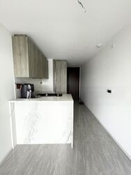 Leedon Green (D10), Condominium #507896001